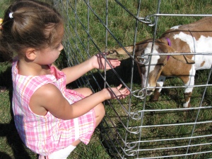 A goat, a rabbit, and a rooster were among the animals that the children could see up close.
